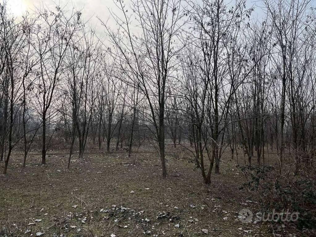 Immobile in asta di 64931 m² a Pero - Altro