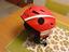 Immagine 1