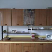 Metti tutto laccato fine anni 50 con serigrafia