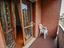 Immagine 17