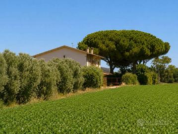 Rustico / Casale di 270 m² con più di 5 locali a T