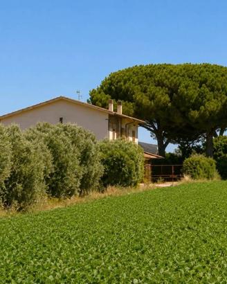 Rustico / Casale di 270 m² con più di 5 locali a T
