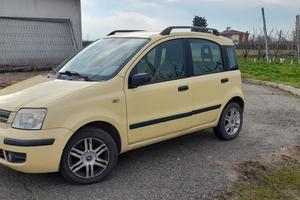 fiat panda prezzo trattabile 