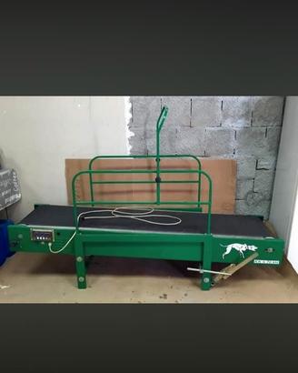 tapis roulant