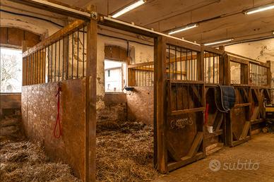 7 BOX PER CAVALLI DA INTERNO