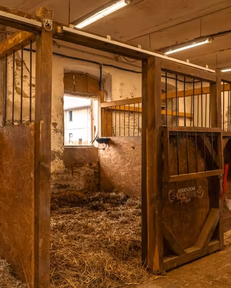 7 BOX PER CAVALLI DA INTERNO