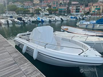 RANIERI VOYAGER 19S
