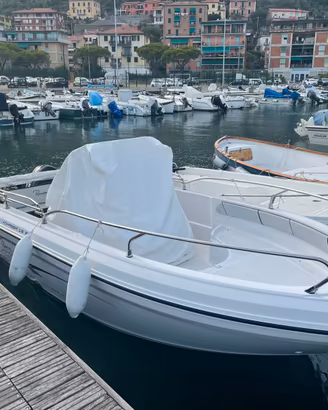 RANIERI VOYAGER 19S