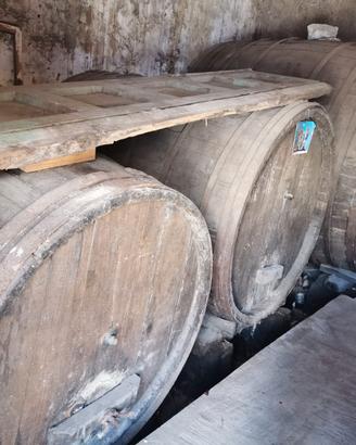 Autentiche botti in legno di castagno