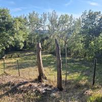 Terreno con Rustico / Belmonte in Sabina ( RI )