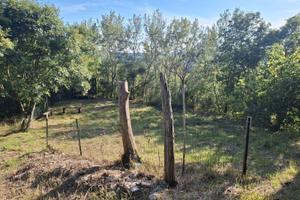 Terreno con Rustico / Belmonte in Sabina ( RI )