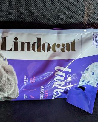 4 Sacchi Lettiera per gatti Lindocat Crystal Lav.