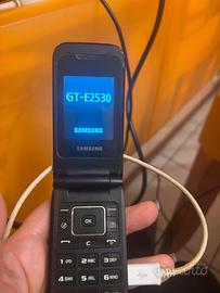 Samsung GT-E2530 Slide