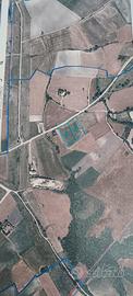 Terreno agricolo
