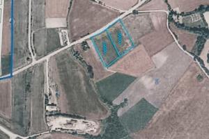 Terreno agricolo