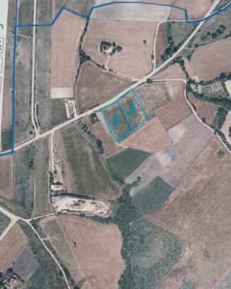 Terreno agricolo