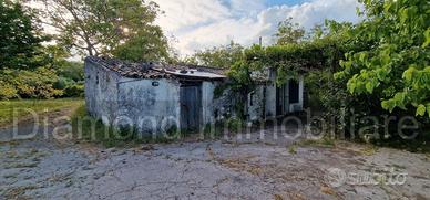 Fabbricati con terreno a Piedimonte Etneo