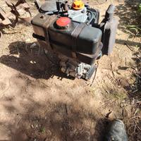 more diesel motozappa 