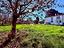 Immagine 14