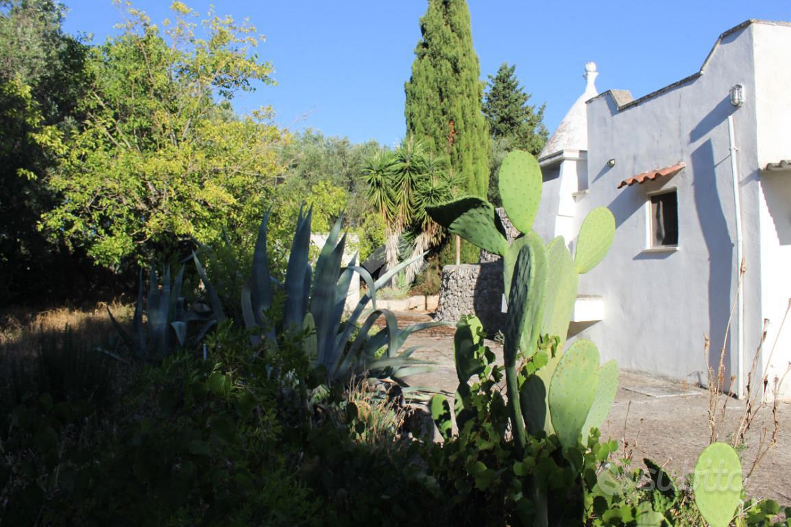 House in Carovigno, Brindisi - Vista 5