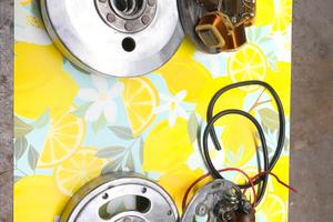 Volani ducati e dansi