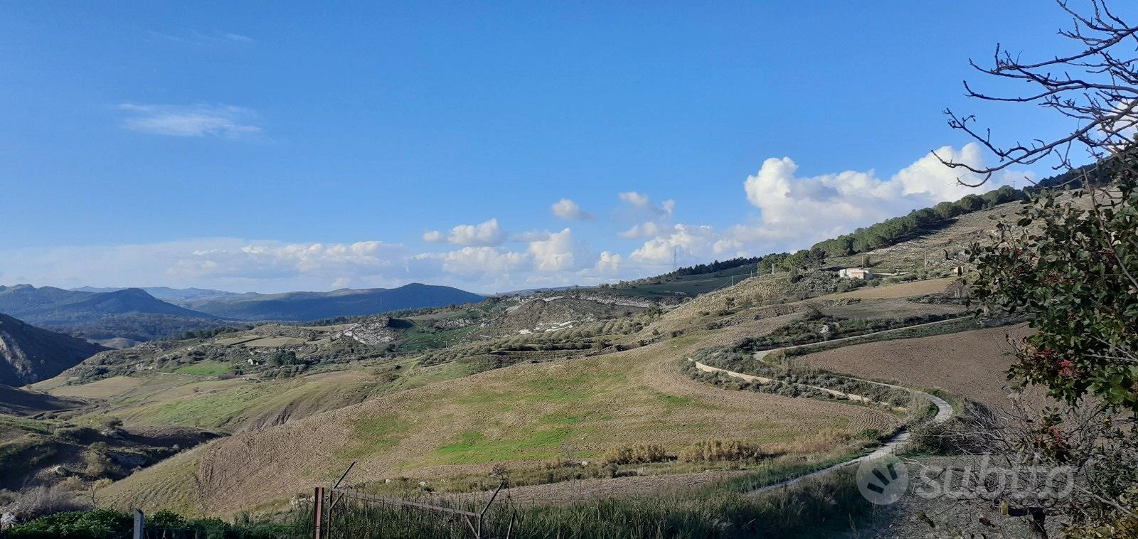 Terreno Agricolo Panoramico 20 Ettari - Vista 3