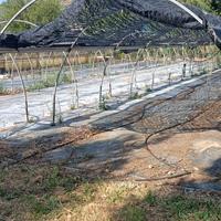 Serra - Antigrandine - Rimessa agricola.