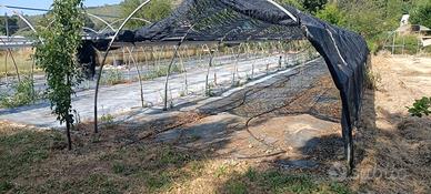 Serra - Antigrandine - Rimessa agricola.