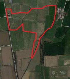 terreno agricolo 31 ettari