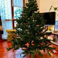 Albero di Natale 160