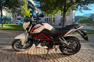 Benelli Bn 251