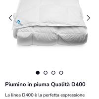 Piumone letto Daunenstep 250x220 D400 Cold Winter