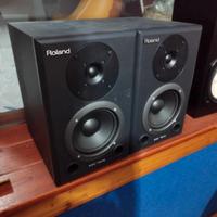 Monitor casse da studio Roland DS-50A USATE
