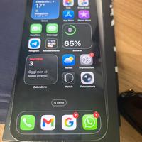 Iphone 13 Pro Max 256gb