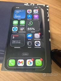 Iphone 13 Pro Max 256gb