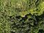 Immagine 24