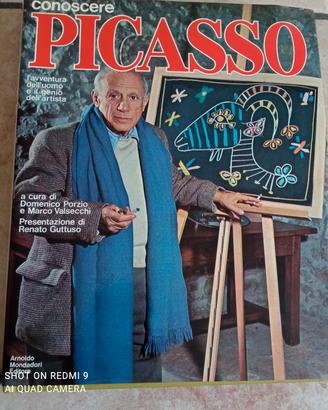 Conoscere Picasso Mondadori 1973 usato 