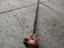 Immagine 3