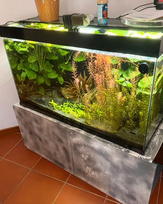 Acquario completo della ciano 200 litri