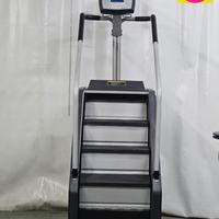 Scala Stair Master by Nautilis - No Technogym