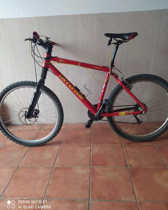 MTB cannondale