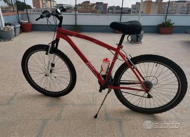 2 biciclette al prezzo di una!