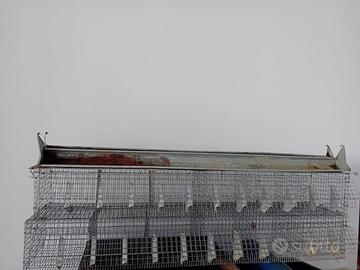 Gabbie da ingrasso per conigli