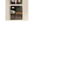 CD promo Radio Ligabue