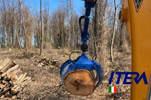 Pinza Legna Tronchi Pietre IPL1100PRO