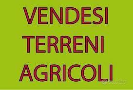 Terreno agricolo Ripi Casilina