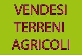 Terreno agricolo Ripi Casilina