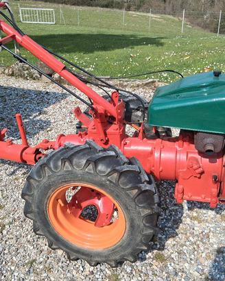 motocoltivatore pasquali  917 diesel 