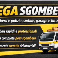 Gega Sgomberi