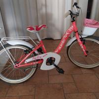 Bicicletta Bambina Dino Bikes Aurelia Smarty 20